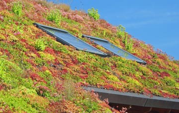 Great Ayton living roof systems