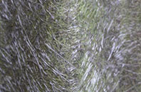 Great Ayton fibreglass roof work